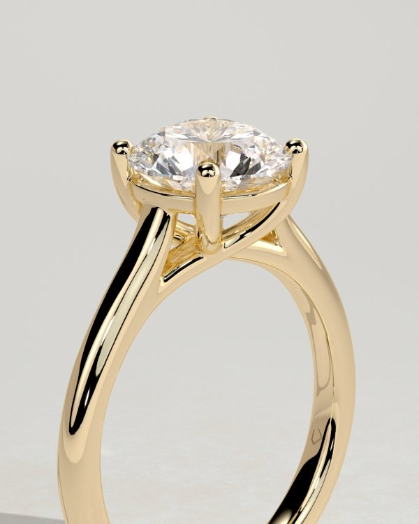 10tnum_vjevflu0iedcp_uofajqhloalj_fd63f51b8d40aad31bee11a60c0b3708 Cathedral Round Solitaire Engagement Ring