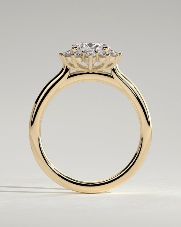 11wn11sf1rie6ncnuj4zizkbwemsytqpw_c7b8eea38f7d0e5a98a6ad588fb03eef Oval Cut Halo with Cathedral Setting
