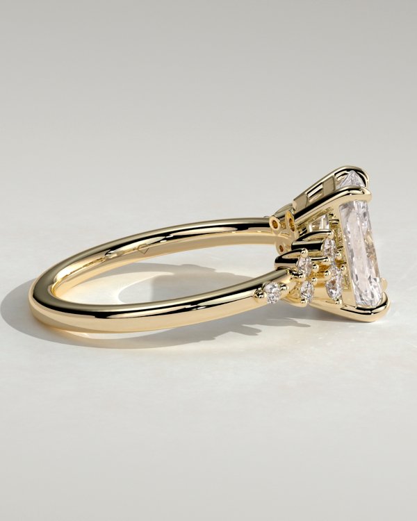 1i36bvyp_bfgu0oadys1nghmzmlqwfbbt_f7e379b4cd45ff62f73e4ab7664d1a2c Radiant 4 Claw Solitaire Clustered Engagement Ring