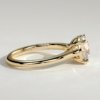 1ntdzcje3yxkdi0taabn2yacrglmcgrur_6f16cd3309d58e5e3d195204be425422 Cathedral Round Solitaire Engagement Ring
