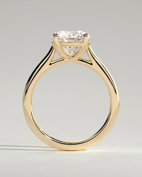 1nvniyowl7zofbk9jwtmmekkobivtlvto_1037228312ff72e8ebe2830e7dd4e90d Cathedral Round Solitaire Engagement Ring