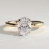 1z_pdpx3sch_0ay_kz1sl7xl8unnwp7ke_1af7d5a2215a5dbdb6238810f24d800e Oval Solitaire Hidden Halo Engagement Ring