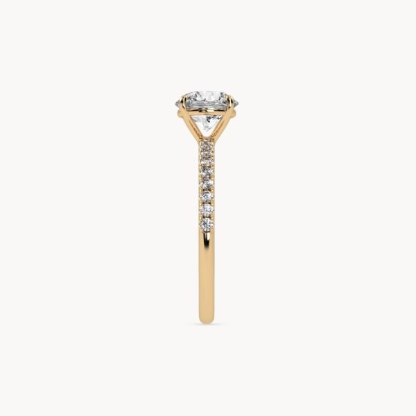 Round-Solitaire-with-Pave-band_GG_03_076f65e6-a7ac-43a9-af9a-b3548e8b75fd.jpg Round Brilliant Cut Solitaire Pavé Setting Ring